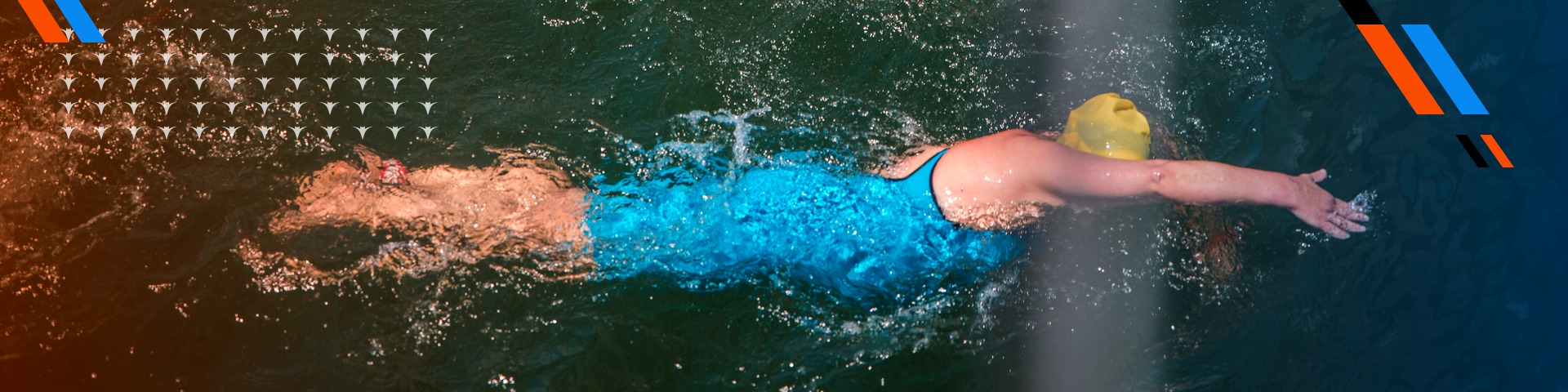 Open water swimmer – Swimming competition, Transylvania Triathlon Festival